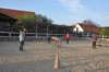 dsc_0932_small.jpg